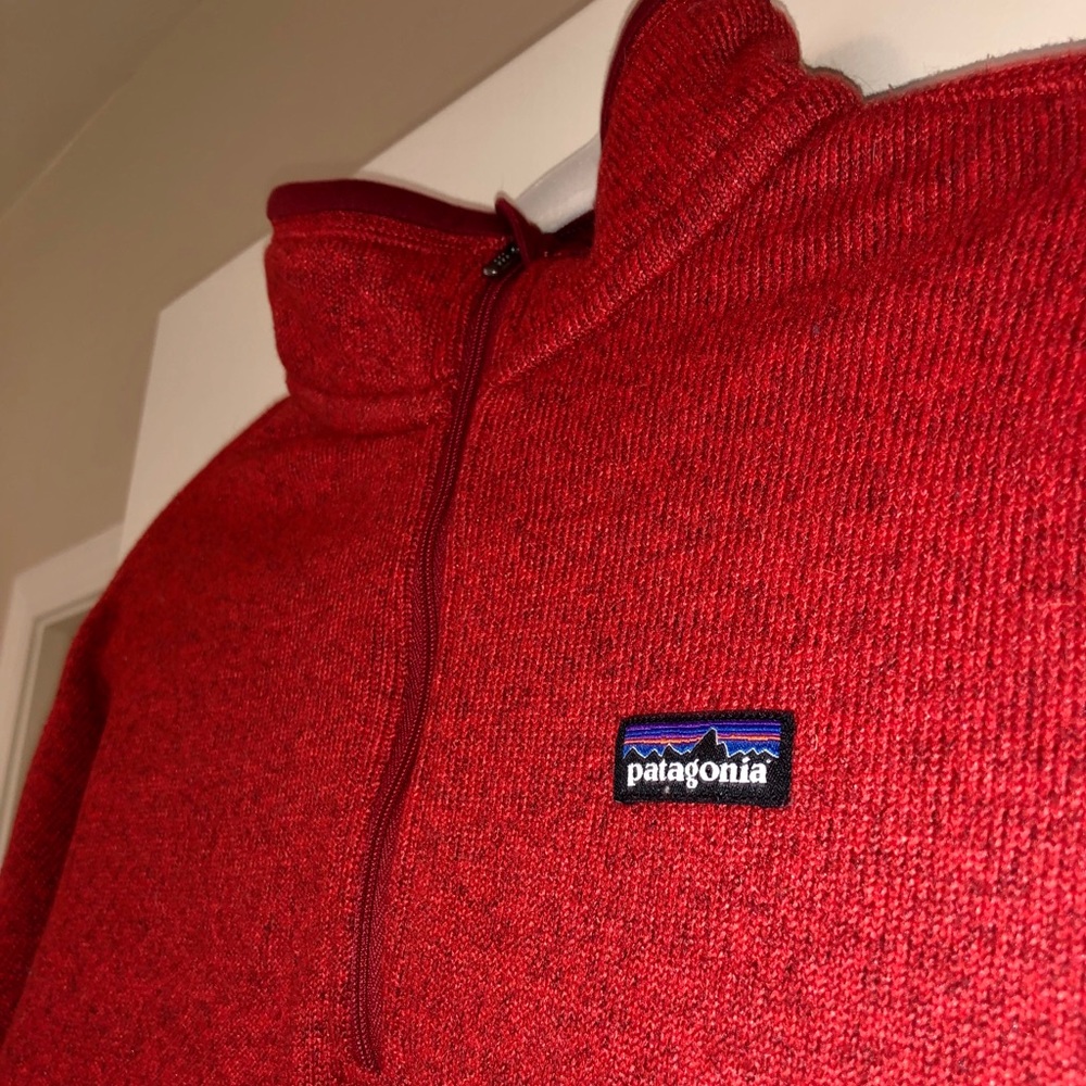 Lightweight Patagonia Pullover - image 7